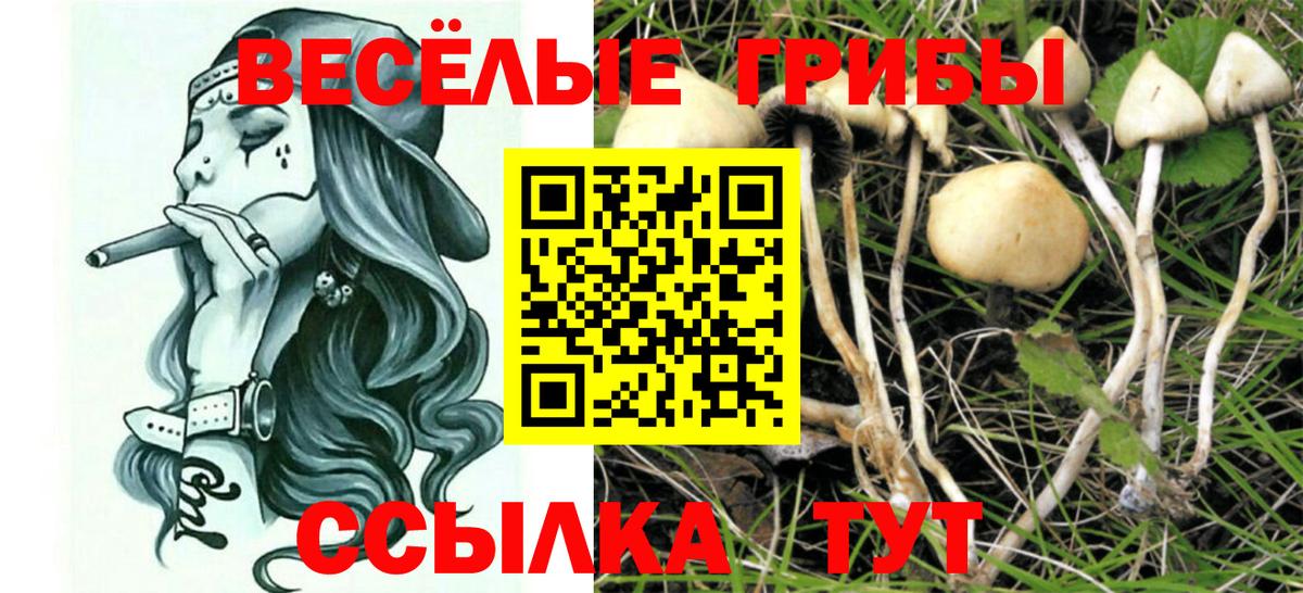 Псилоцибиновые грибы Cubensis  Вход с VPN  где купить   Омск  Галлюциногенные грибы Magic Shrooms 