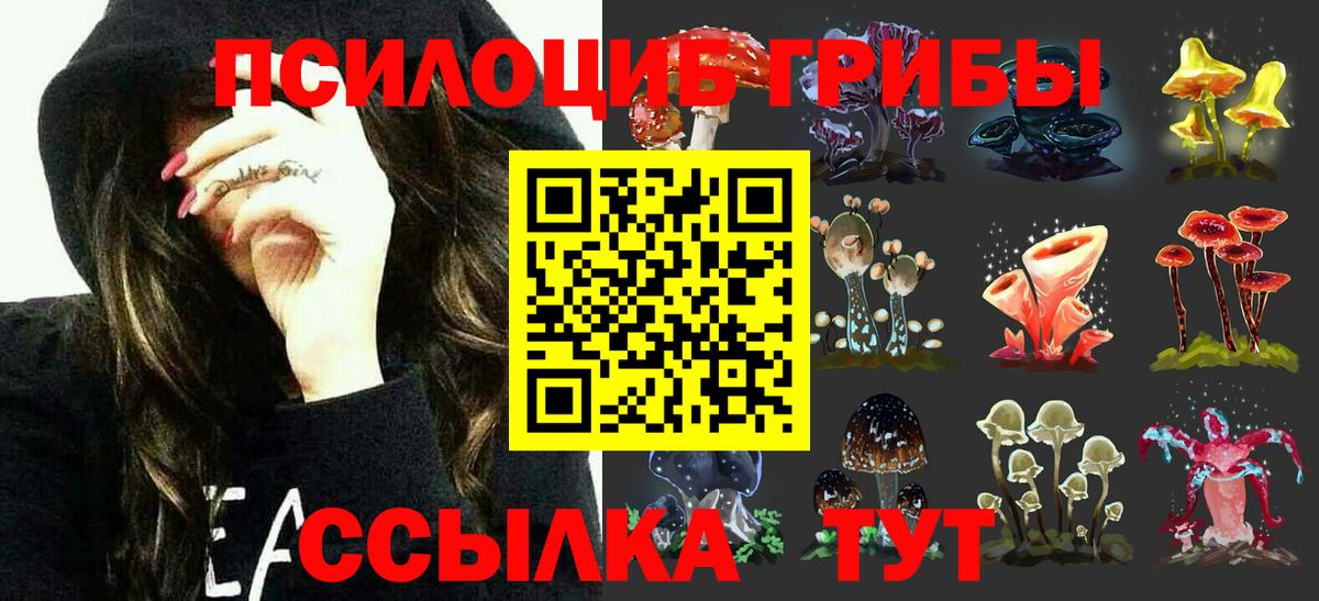 Галлюциногенные грибы Cubensis Омск